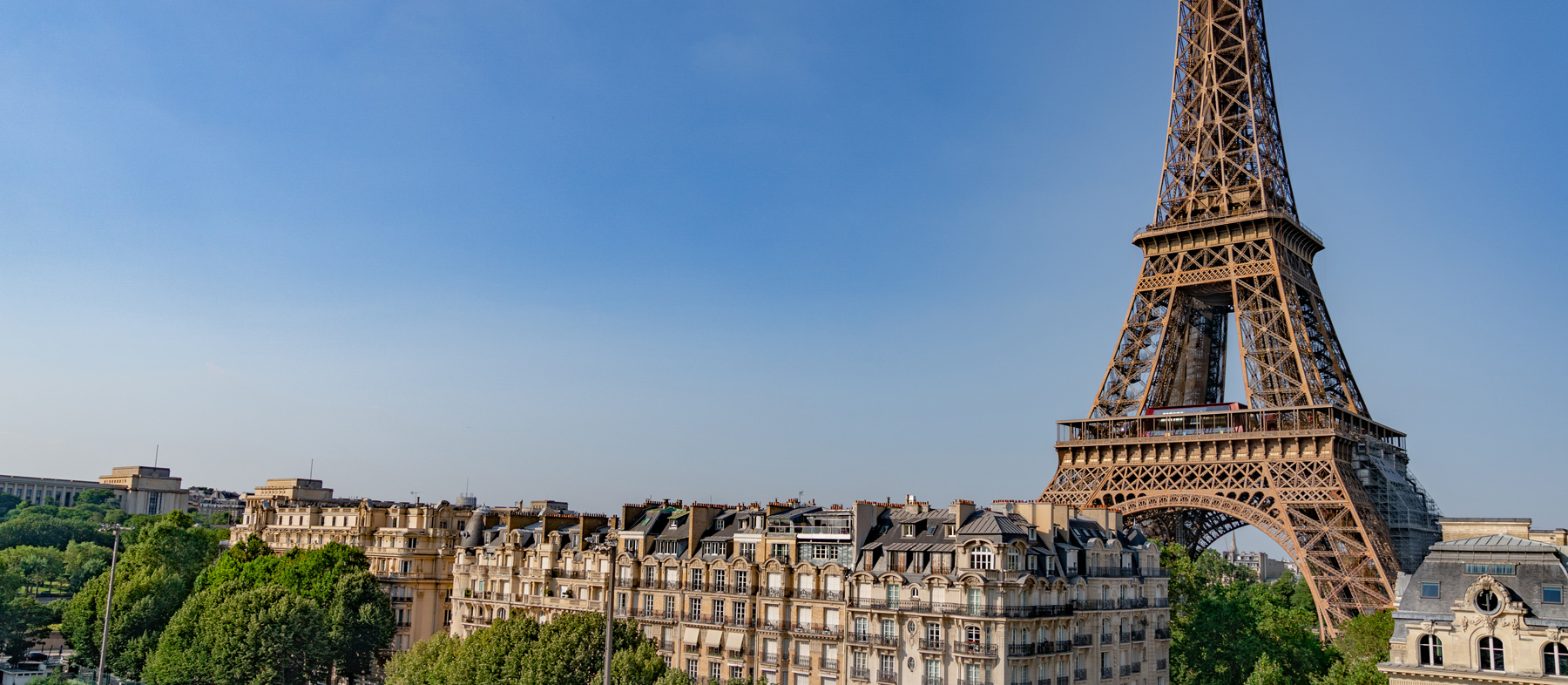 Eiffel Tower Landscape